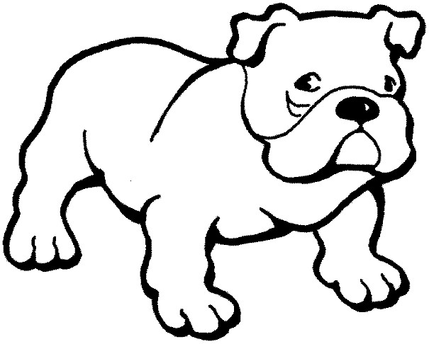 605x486 Bulldog Clipart Uga