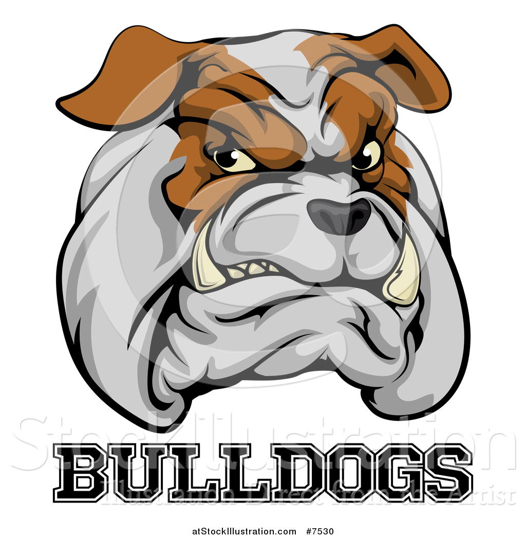 1024x1044 Vector Illustration Of A Growling Aggressive Bulldog Mascot Face