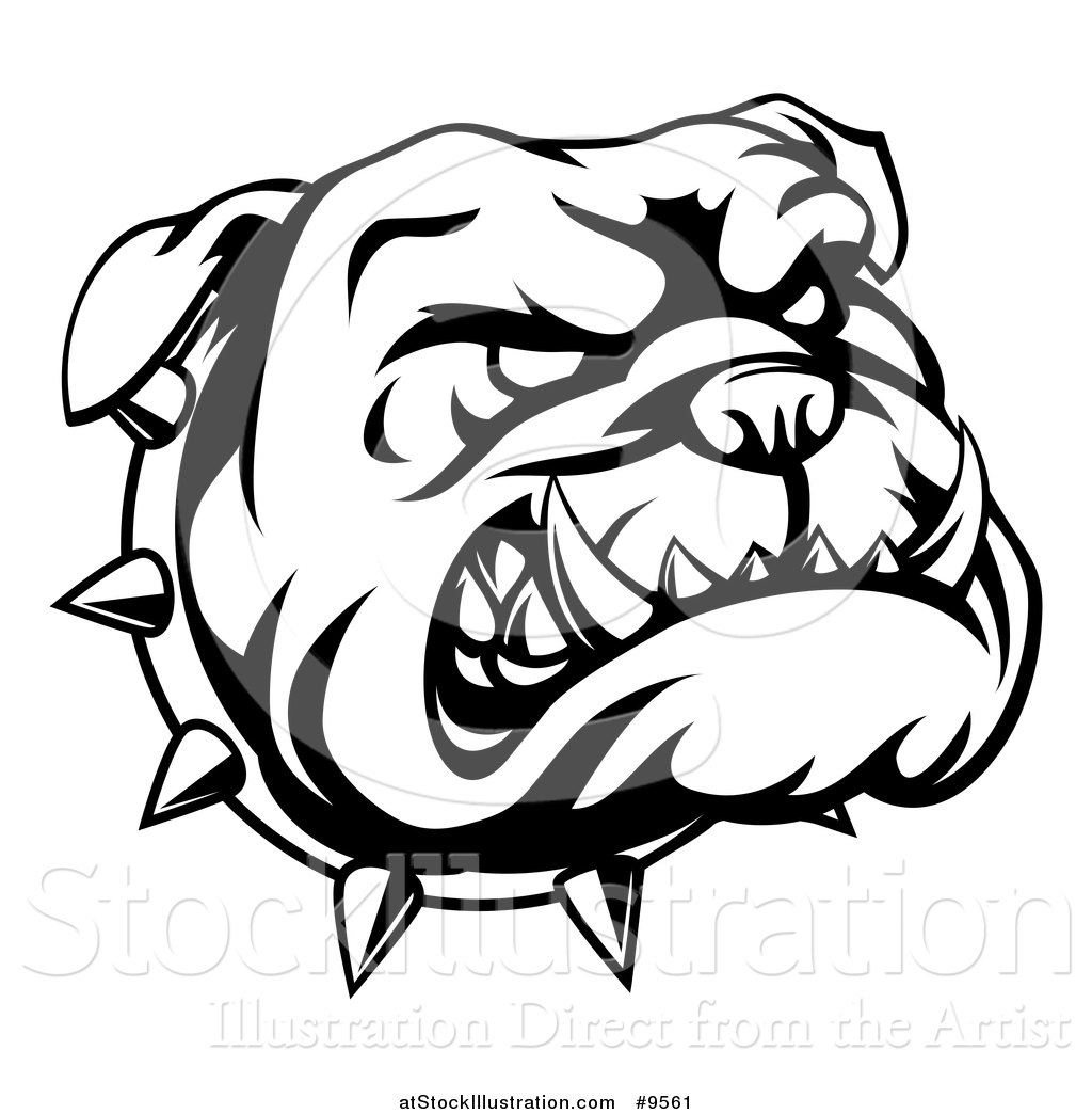 1024x1044 Vector Illustration Of A Lineart Angry Bulldog Face And Spiked
