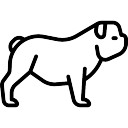 128x128 Bulldog Vectors, Photos And Psd Files Free Download