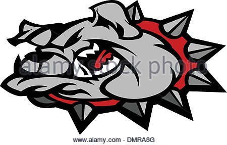 450x287 Bulldog Cartoon Face Vector Illustration Stock Vector Art