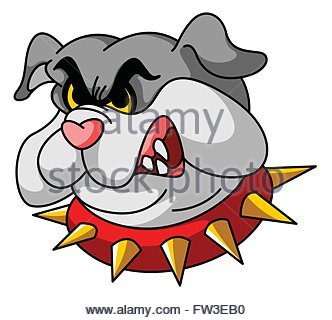 332x320 Cartoon Bulldog School Mascot Stock Photo, Royalty Free Image