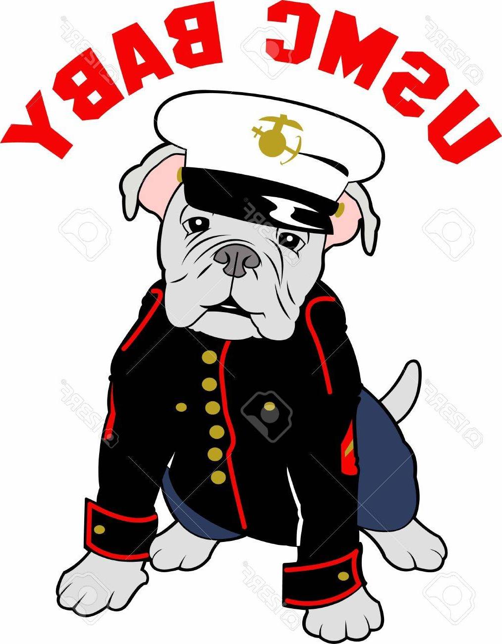 1013x1300 Top 10 Marines Can Show Their Pride With Bulldog Mascot Stock