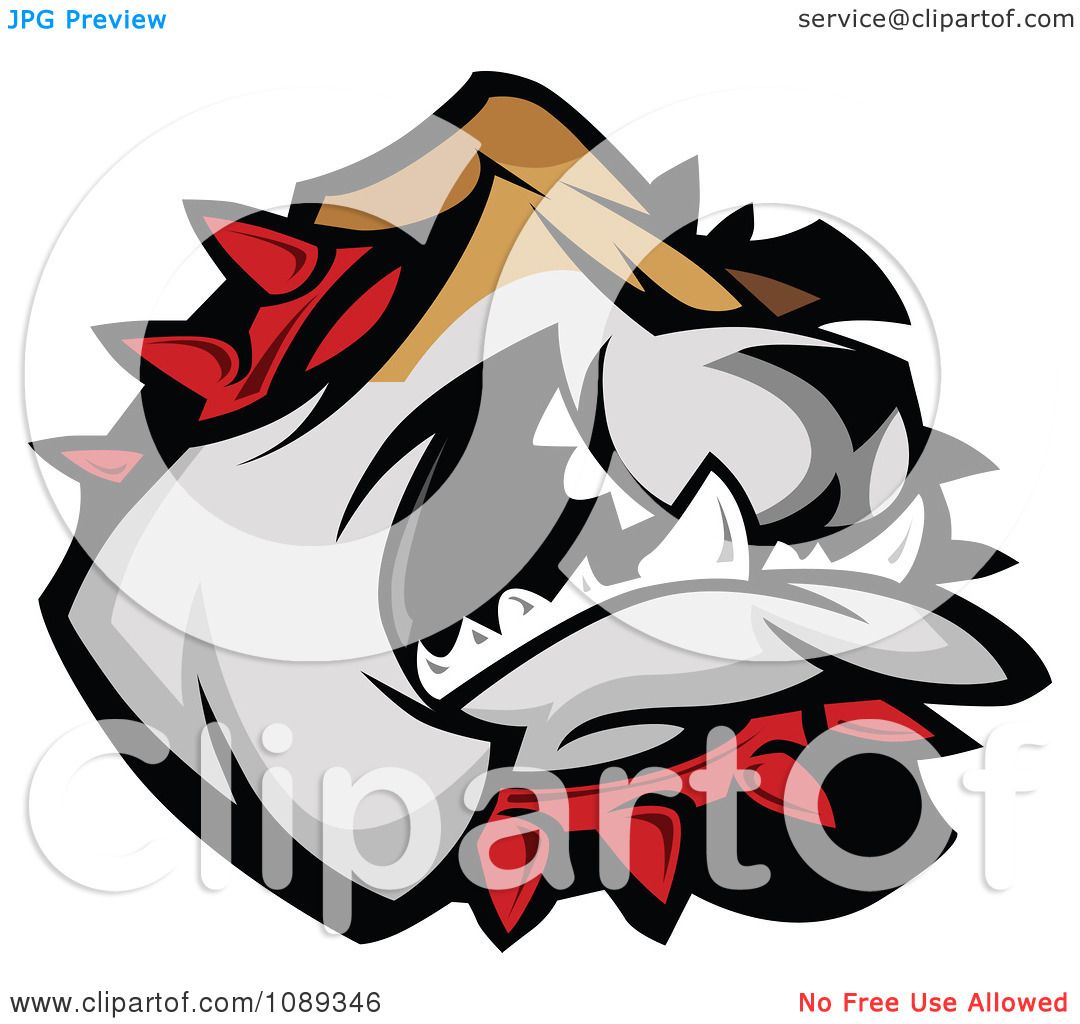 1080x1024 Clipart Bulldog Mascot Face Attacking