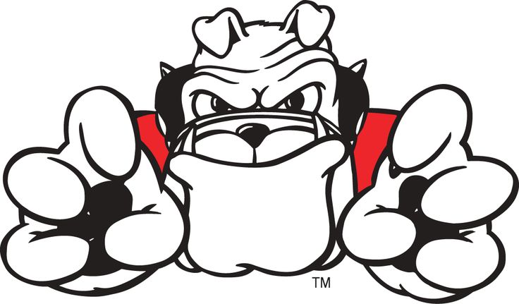 736x431 Drawn Bulldog College Mascot