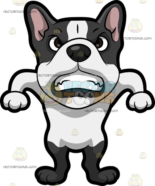 534x640 A Very Angry French Bulldog Cartoon Clipart