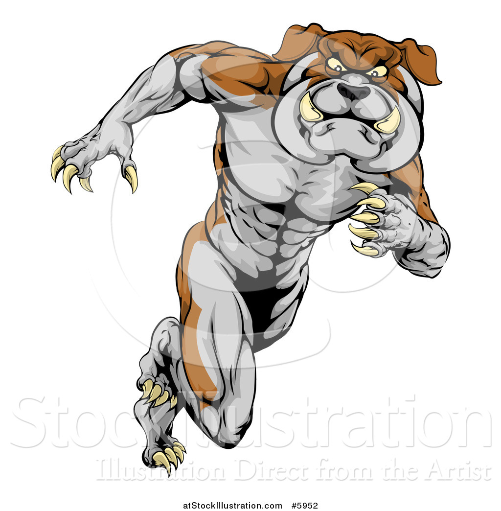 1024x1044 Vector Illustration Of A Muscular Aggressive Bulldog Mascot
