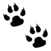 170x170 Dog Paw Prints Clipart