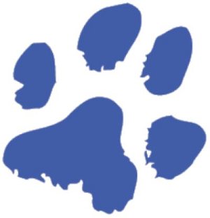 300x312 Newsletters Overview