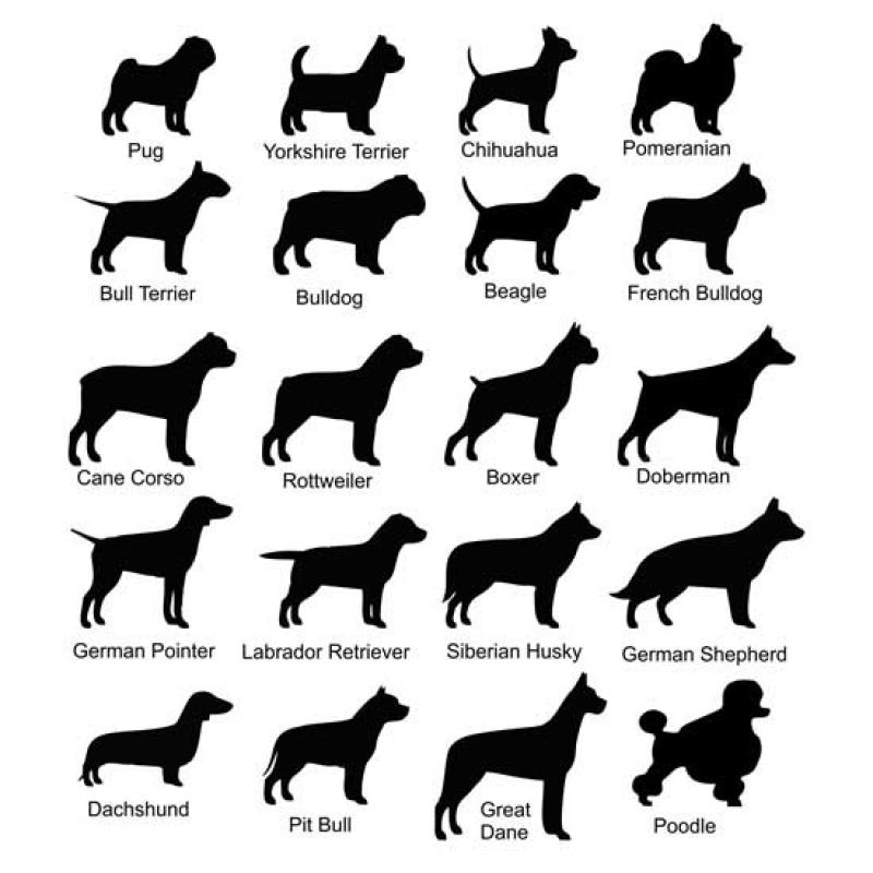 800x800 Uniqkool Fun, Trendy And Functional Creations