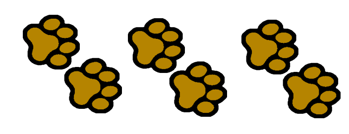 704x272 Images Paw Prints
