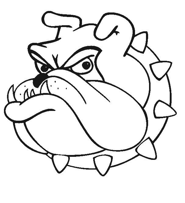 607x668 Drawn Bulldog Animated