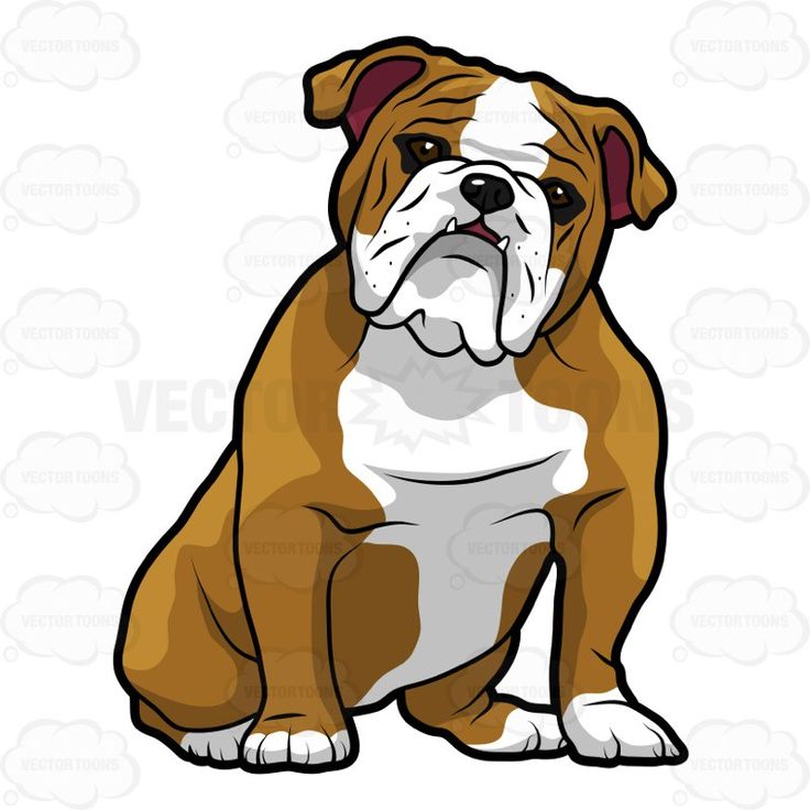 736x736 Best Bulldog Clipart Ideas Puppy Clipart, Cute