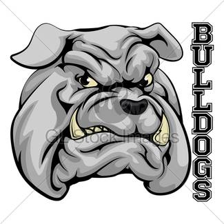 325x325 Bulldog Face Gl Stock Images