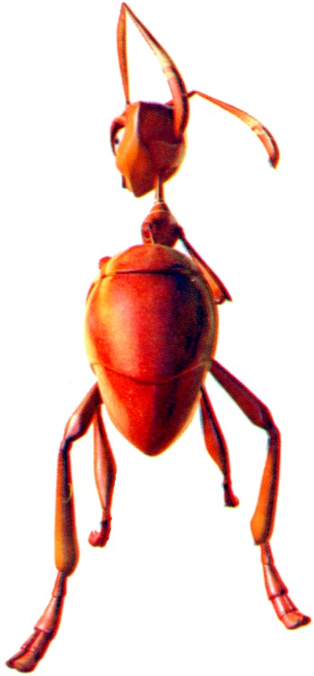 350x752 An Ant Bully Fansite Clipart