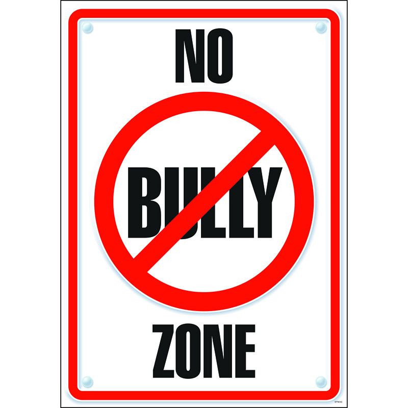 800x800 Poster No Bully Zone 13 X 19 Positive Character Traits