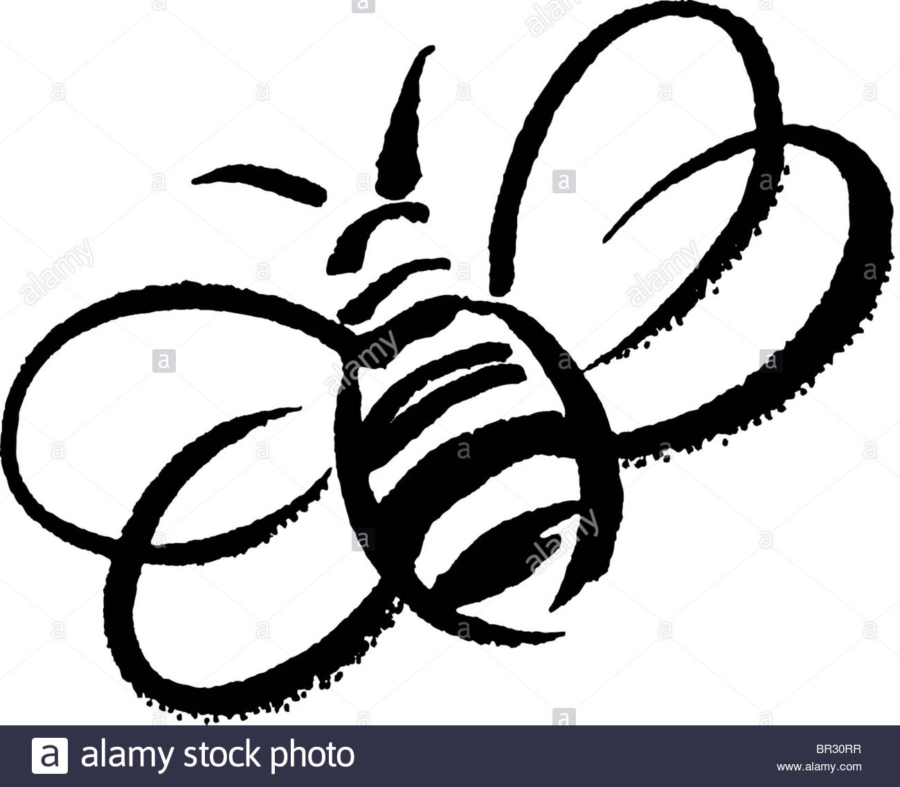 1300x1136 15 Bee Picture Black And White Pictures Black And White Pictures