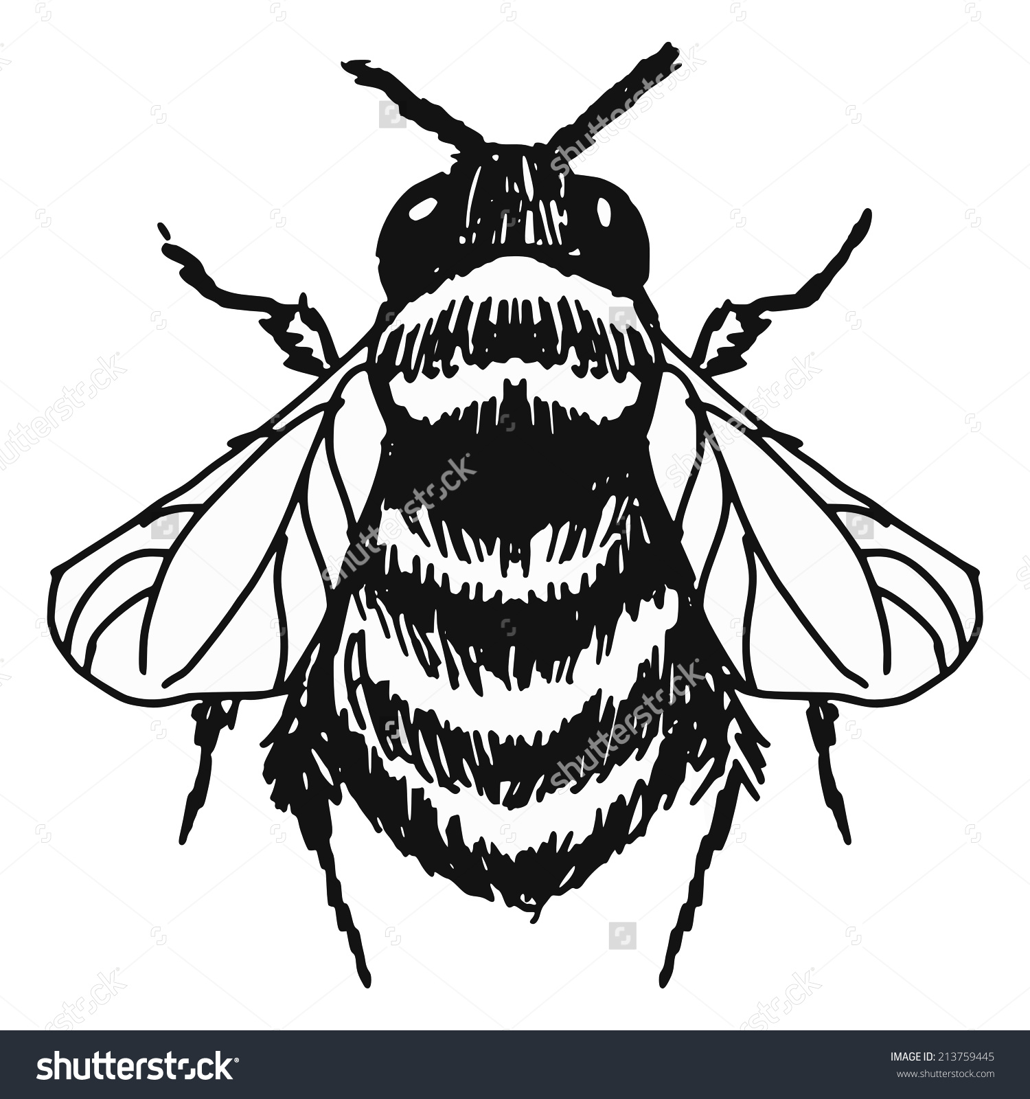 Bumble Bee Outline | Free download on ClipArtMag