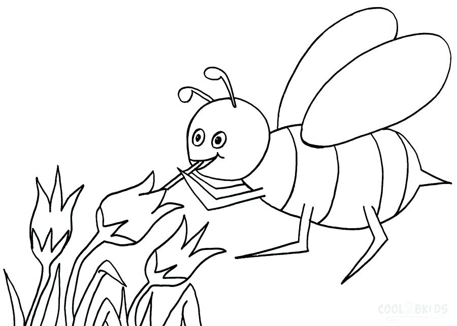 900x643 Unbelievable Stunning Bumble Bee Outline New Coloring Page On Free