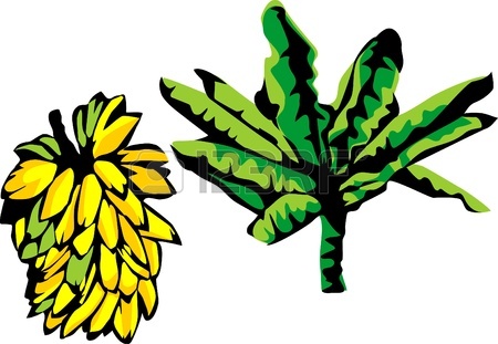 450x311 Bunch Of Bananas And Banana Tree Royalty Free Cliparts, Vectors