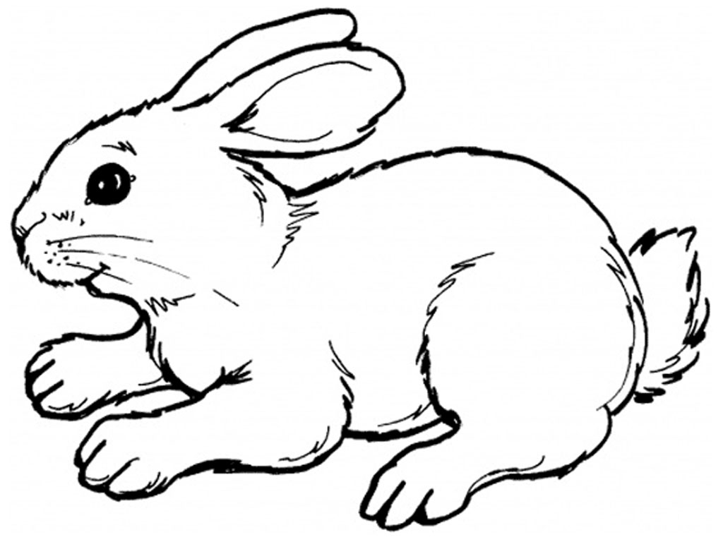 1024x768 Bunny Black And White Rabbit Bunny Clipart Black And White Free