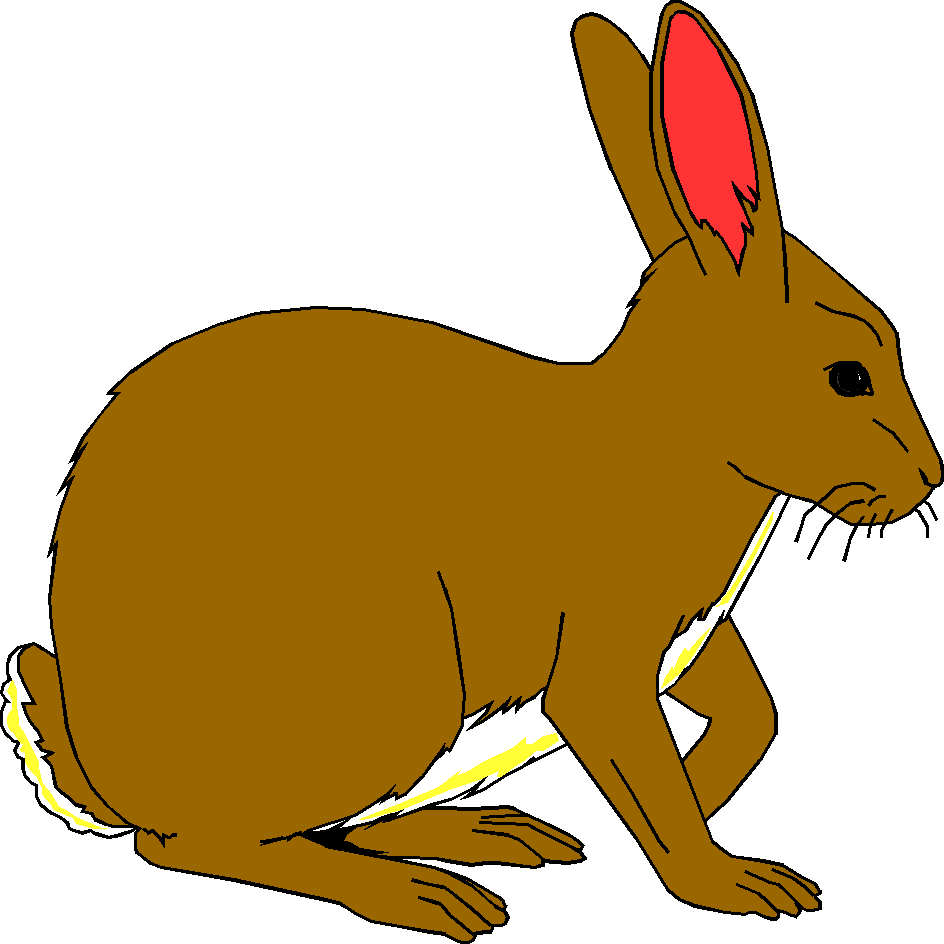 944x944 Orange Clipart Bunny