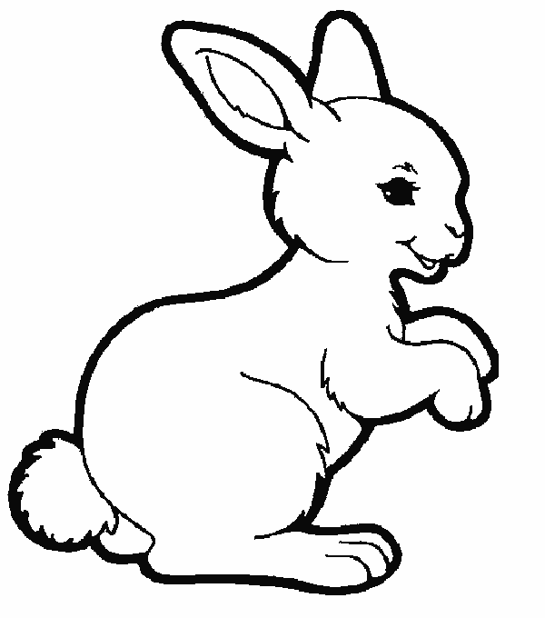 600x680 Bunny Coloring Pages
