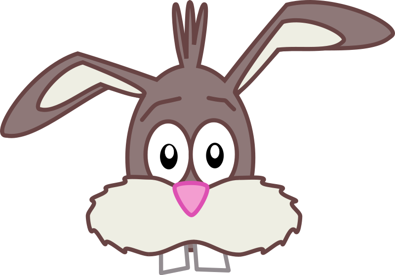 800x557 Hare Clipart Rabbit Face