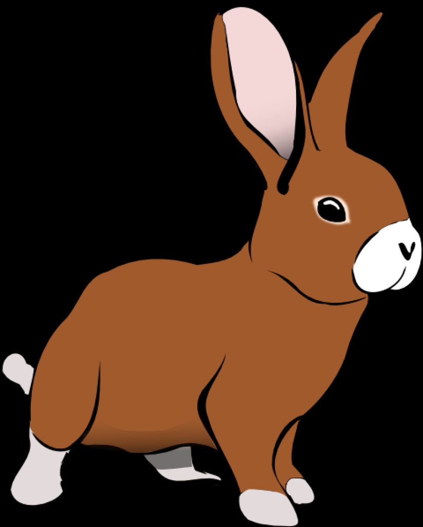 Bunny Rabbit Clipart | Free download on ClipArtMag