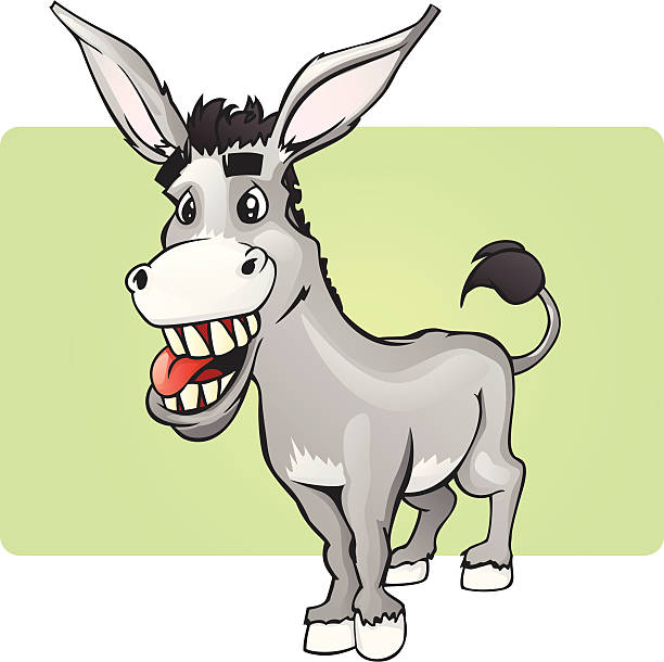 612x610 Burro Clipart Collection