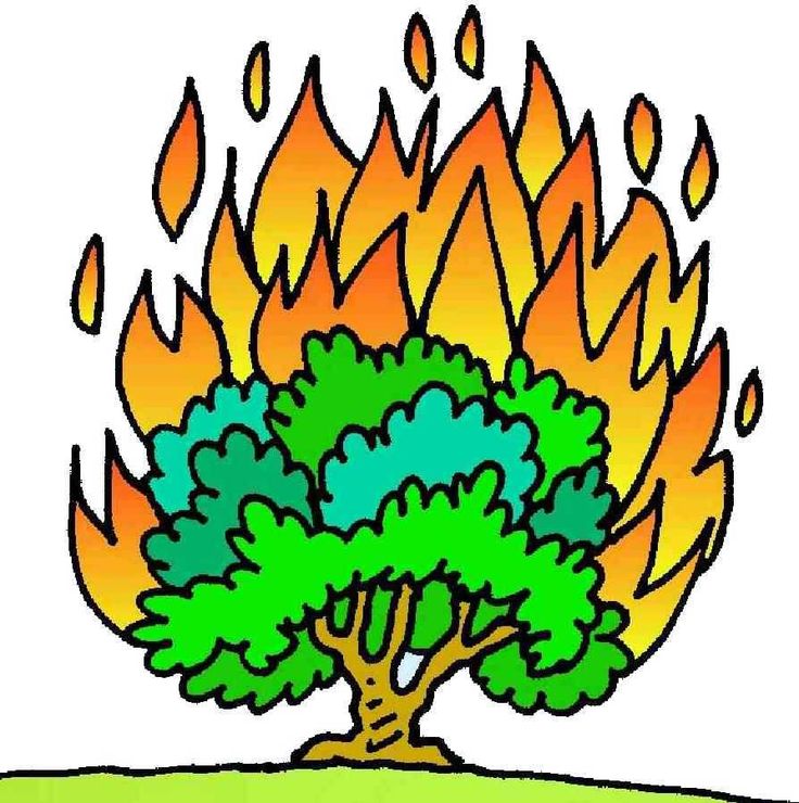 736x740 Bush Clipart The Burning