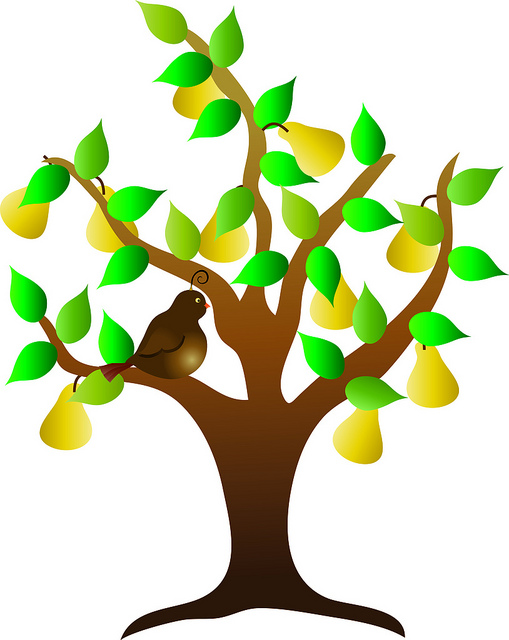 509x640 Bush Fruits Clipart