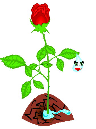 338x453 Graphics For Rose Bush Clip Art Graphics