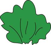 170x151 Green Bush Clip Art