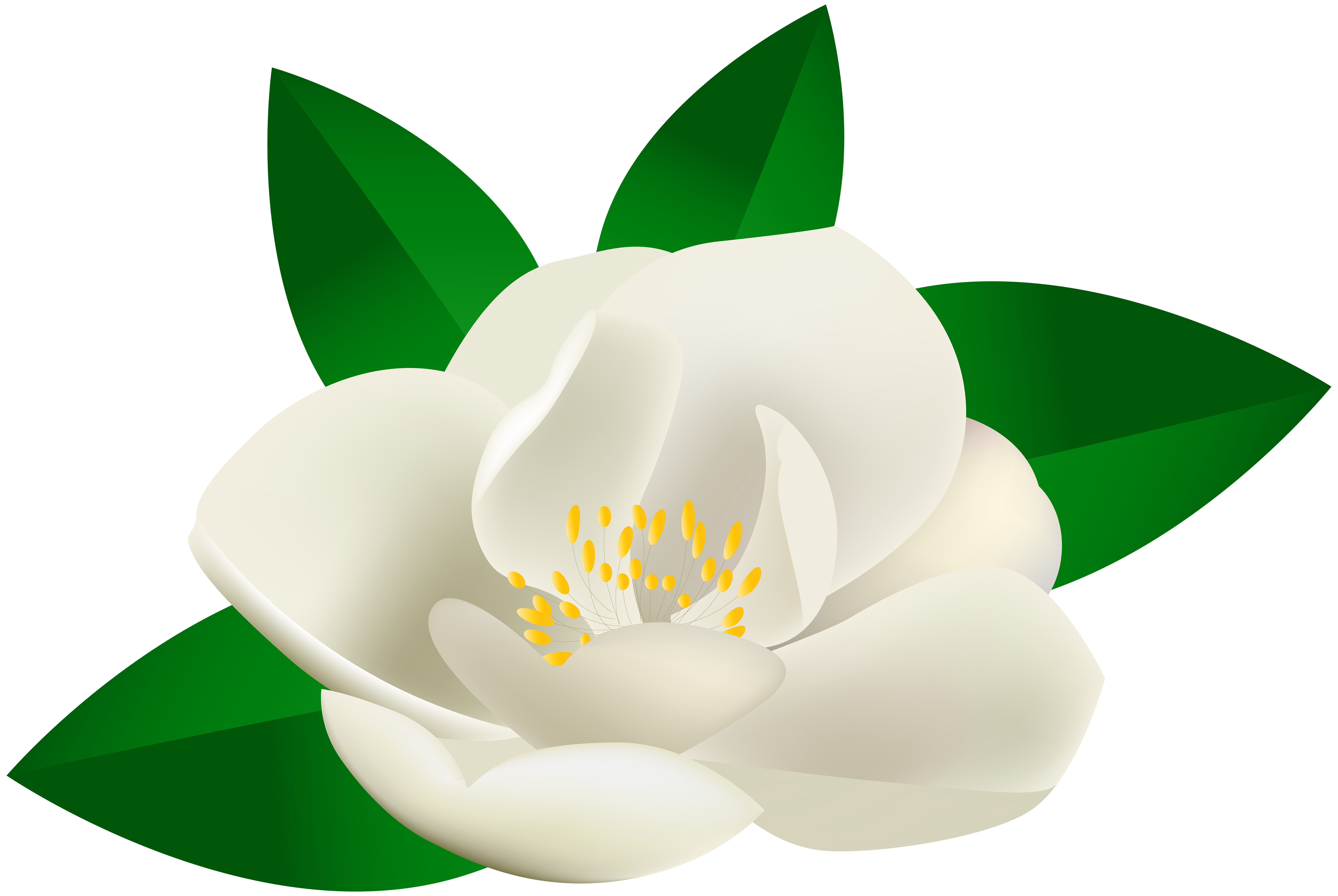 6000x4017 Rose Bush Flower Transparent Clip Art Image U200b Gallery