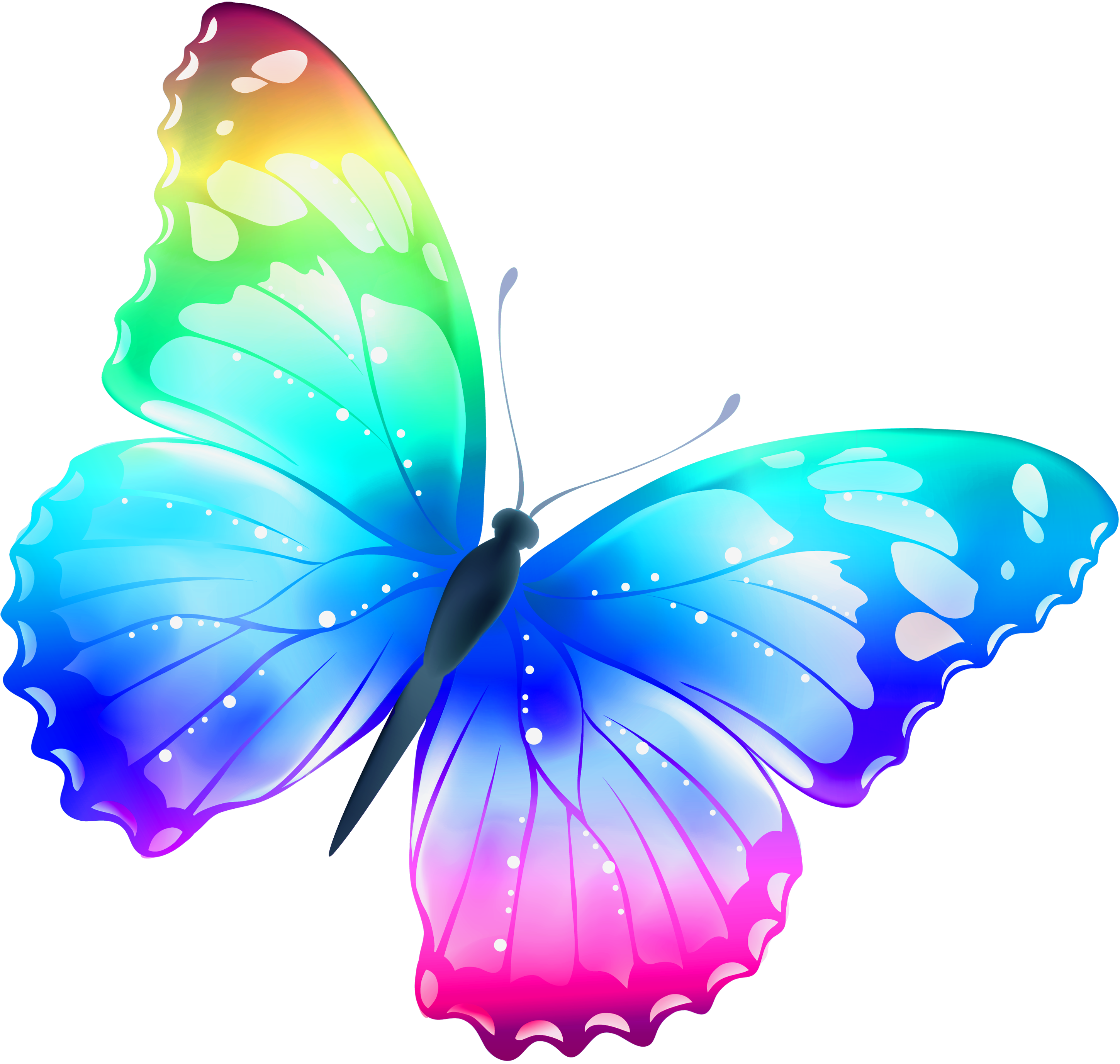 2900x2755 Butterfly Clipart Transparent Background