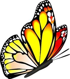 236x268 Butterfly Clip Art Clip Art, Butterfly And Butterfly Drawing