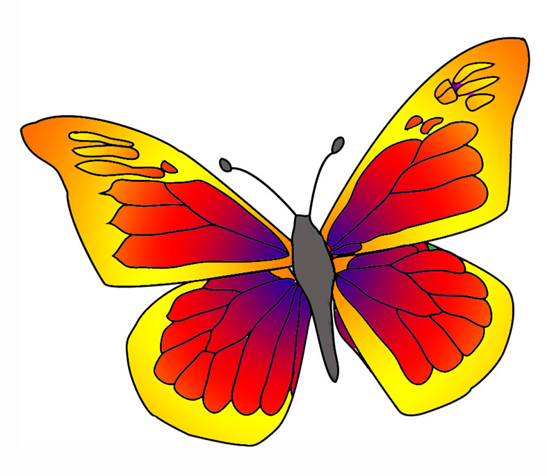 787x685 Pice Clipart Colorful Butterfly