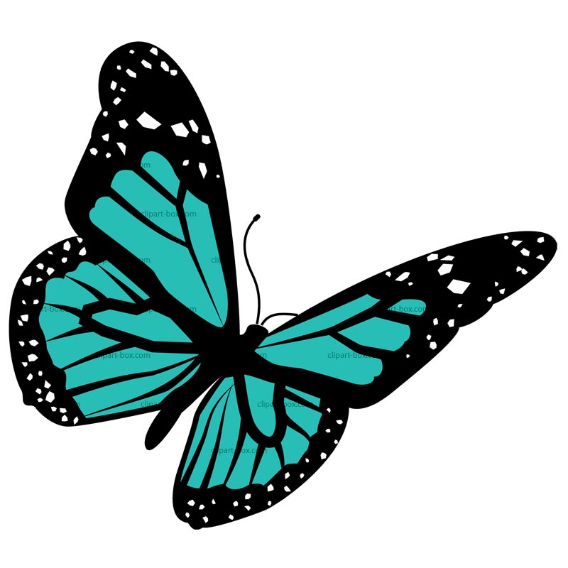 800x800 Teal Clipart Butterfly