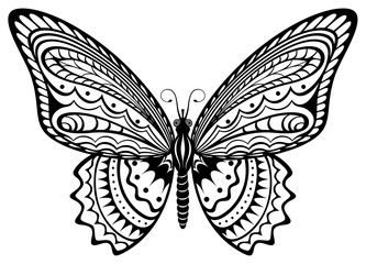 333x240 Drawn Butterfly Black And White