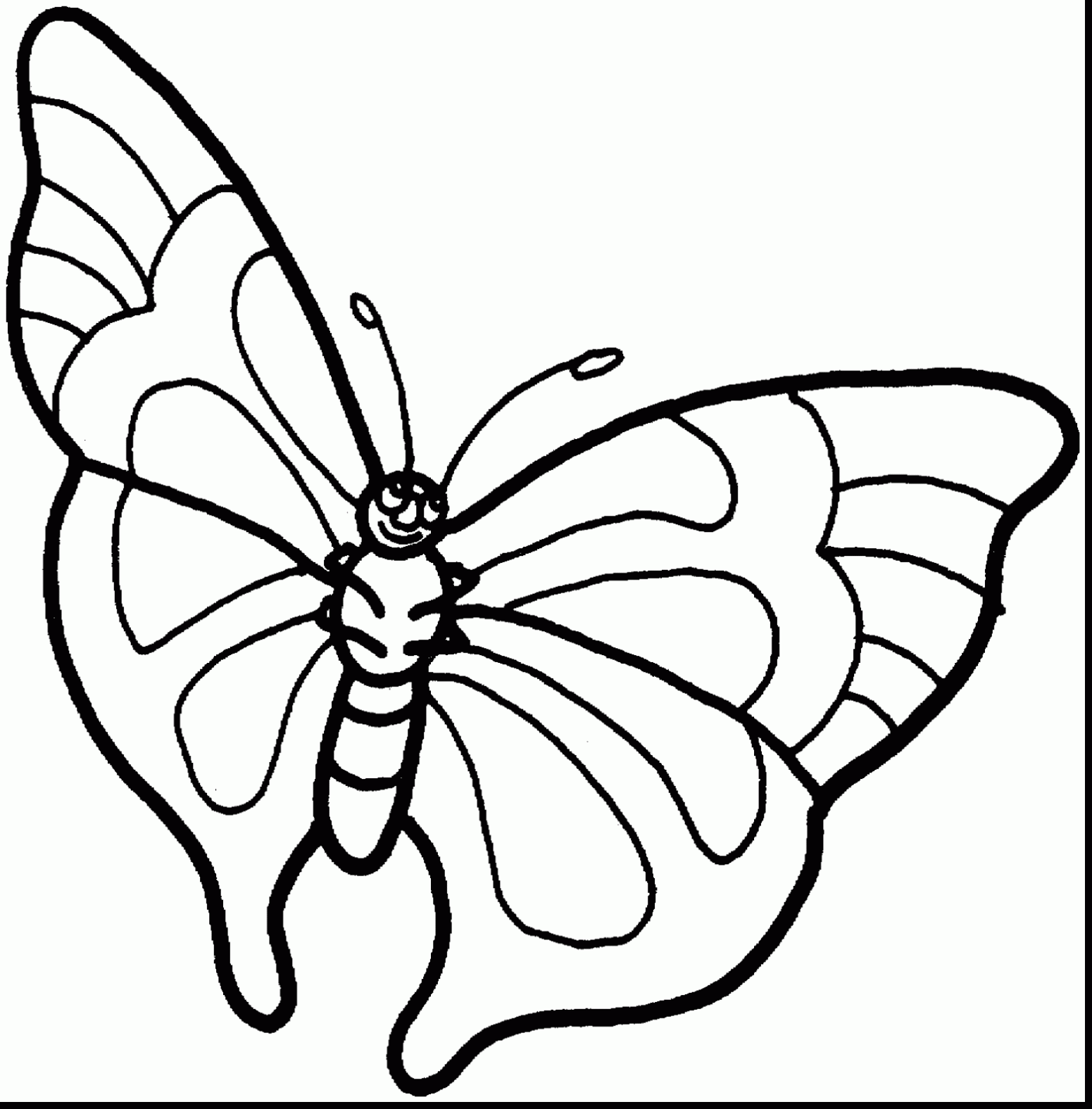 1551x1576 Terrific Butterflies Clip Art Black And White With Butterfly Color