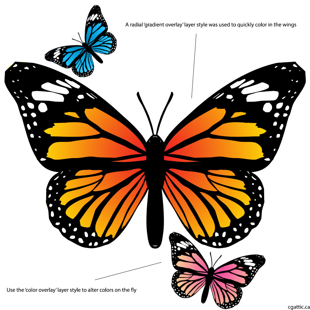 1000x1000 Butterfly Cartoon Pictures