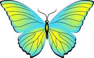 300x185 Butterflies Clipart