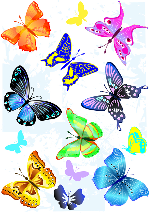 500x714 Sorts Of Butterflies Clip Art Vector Material 04