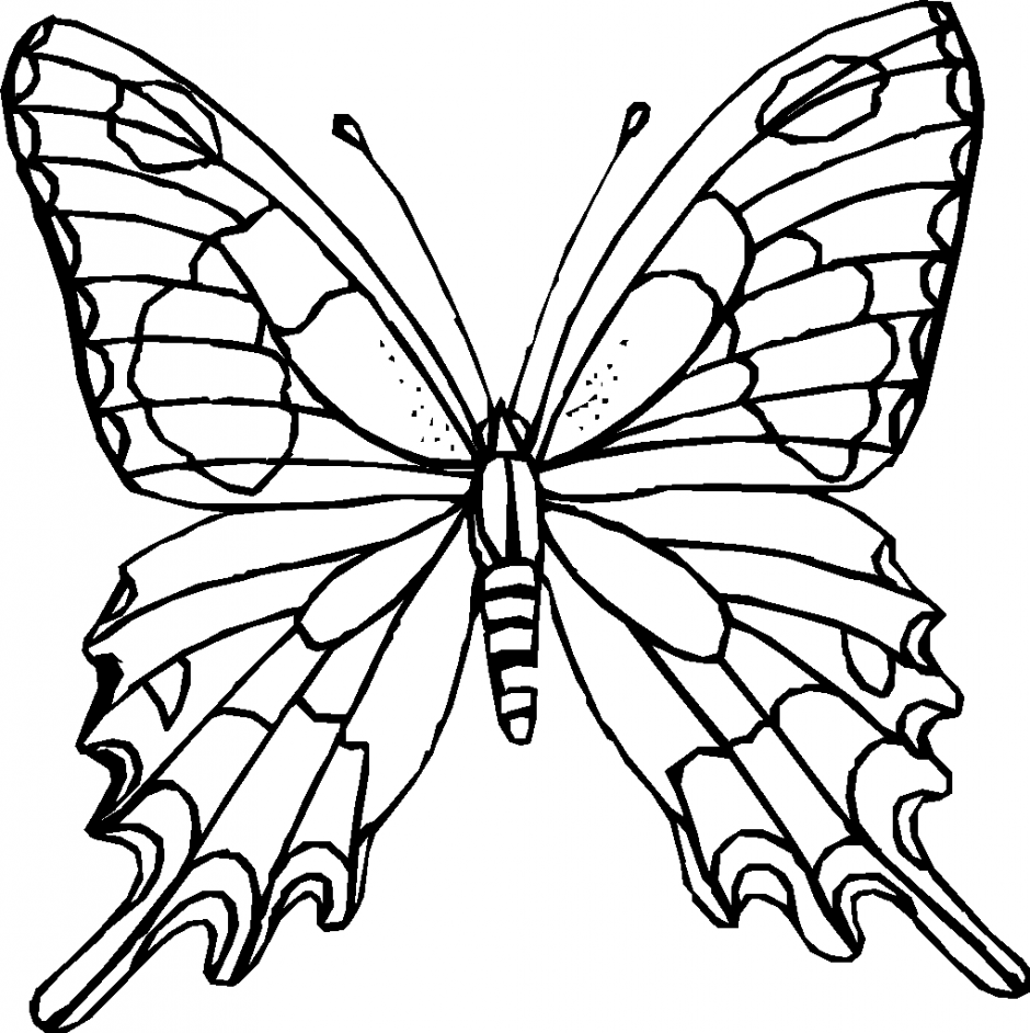 940x942 Butterfly Outline Clipart Free Images 6