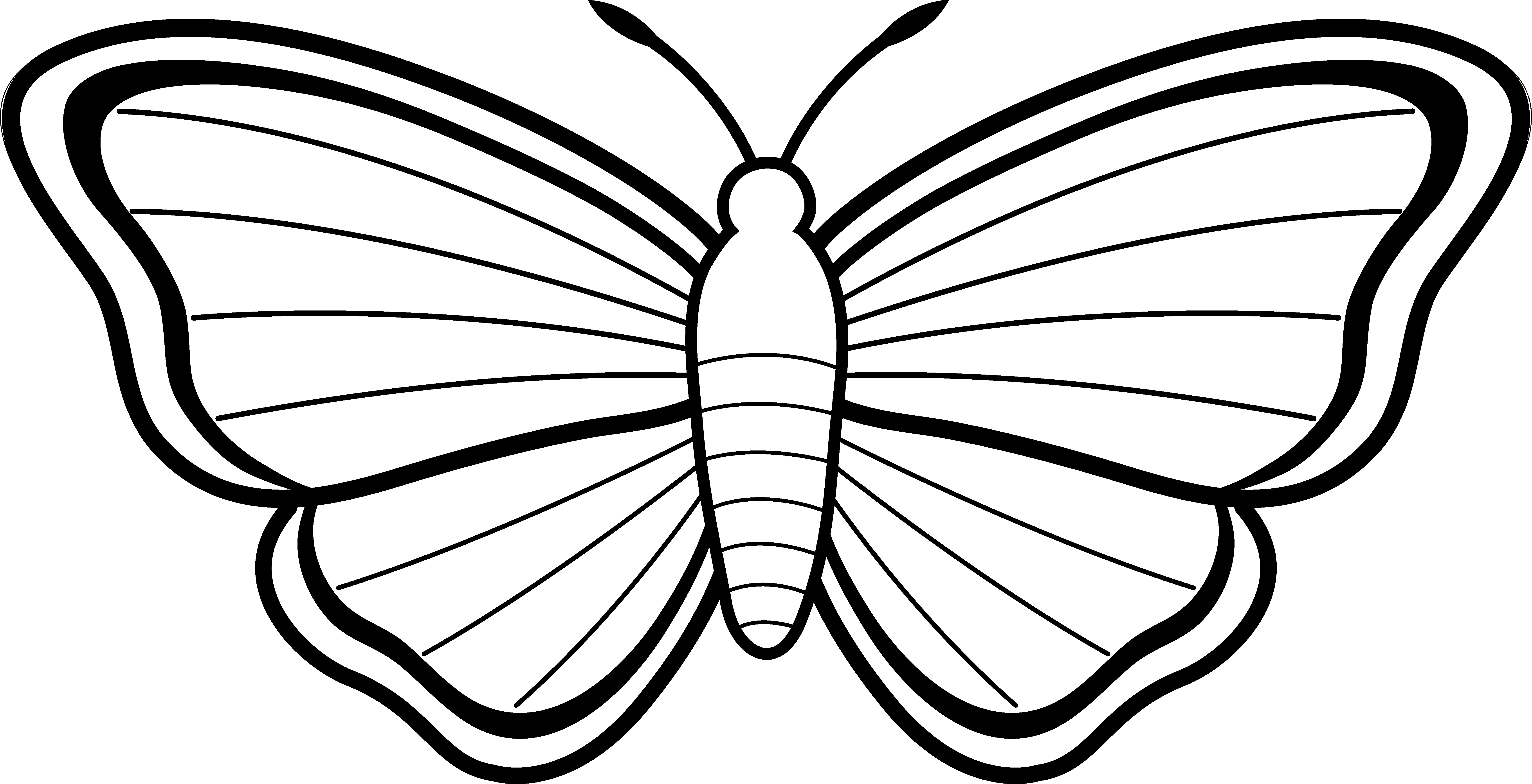 6978x3573 Clipart Butterfly Outline Free Clipart Images 3