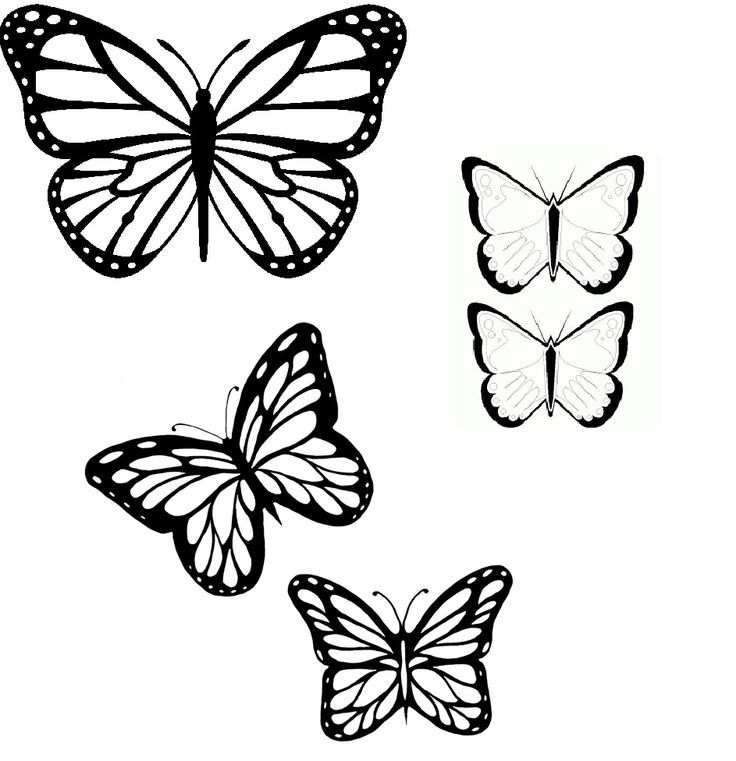 736x761 Butterflies Outline Tattoo