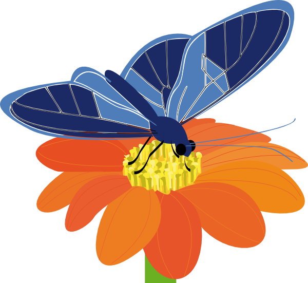600x551 Blue Butterfly With Flower Clip Art