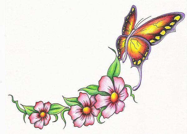 600x428 58 Best Butterflies Images Caterpillar, Anniversary
