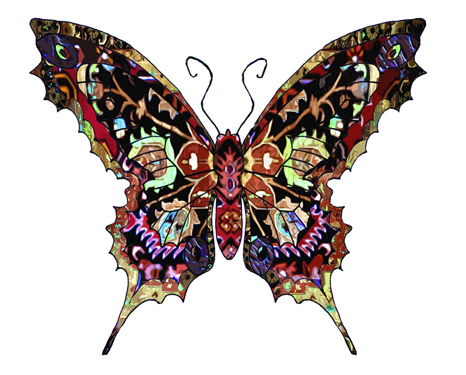 466x375 Original Butterfly Artwork By Award Winning California Artist